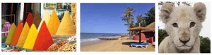 magie_afrique