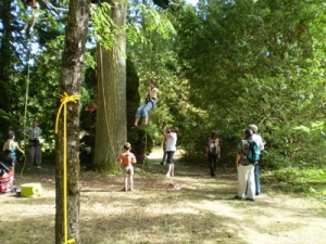 Arbofolia-Tree-Climbing