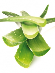 Ambiance_Aloe_Vera_6__Forever_Living_Products