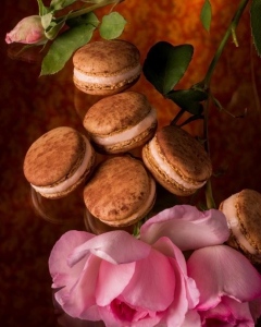 macaron4