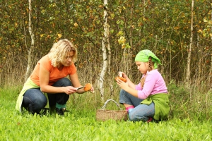 965-Cueillette_Champignons-iStockphoto_Thinkstock_copie1