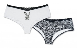 BOXER_ZEBRE_