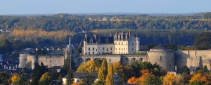 Vues-gnrales-du-chteau-royal-d-Amboise-2