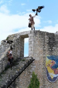 spectacle-fauconnerie_provins_unesco.003