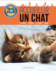 ACCUEILLIR_CHAT_1400px