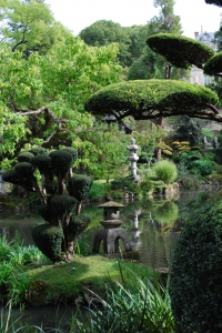 Les_lanternes_en_ete1