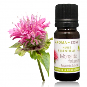 Aroma-Zone_-_HE_monarde-fistuleuse