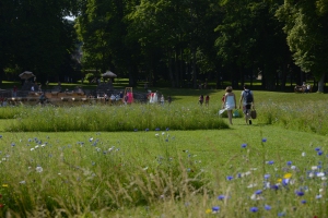 Domaine_2_-_Henri_Perrot01