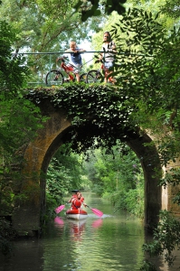 Marais_Poitevin