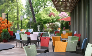Terrasse_lac_Le_Chalet_des_Iles