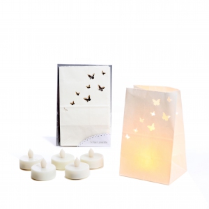 lanterne-sac-papillons-HD