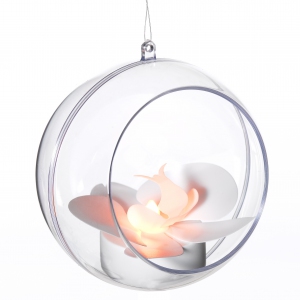 orchide-lumineuse-HD