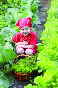 potager_2