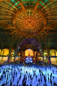 GRAND_PALAIS_FR_r
