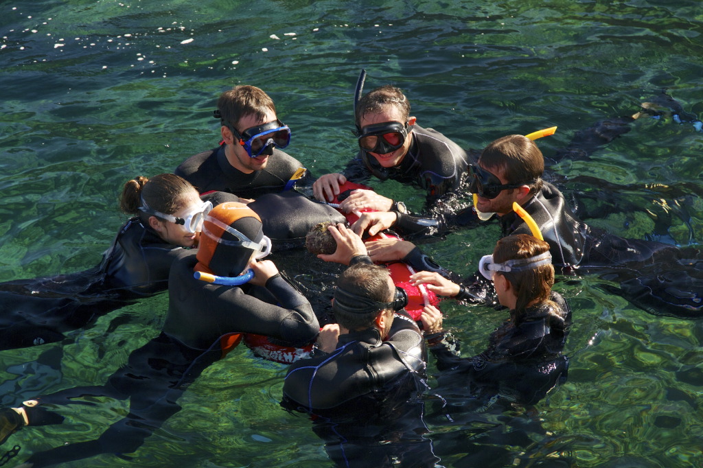 snorkeling