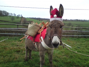 ane_pere_noel