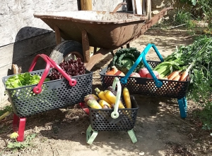 GAMME_KAJO_-_300_DPI