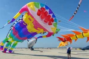 RENCONTRES_INTERNATIONALES_DE_CERFS-VOLANTS_DE_BERCK-SUR-MER_-_CREDIT_PHOTO_VILLE_DE_BERCK-SUR-MER_7