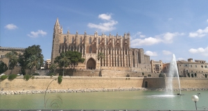 PALMA