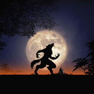 PZP_RDVSauvage_Garou_20x20