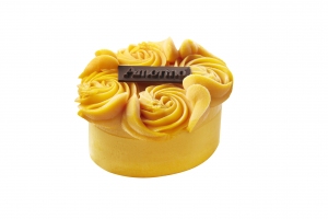 AMORINO_ENTREMETS_STELLA