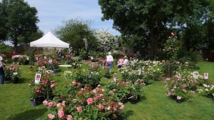 Les_Chemins_de_la_Rose_-_Doue_la_fontaine_-_49_-_fete_des_rosiers_-_printemps_bd