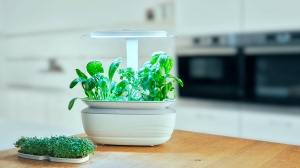 Bosch_PCP_eCommerce_FP_U20_MSGP3L_secondary_microgreens_featurestory_master