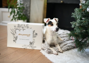 CHIEN_PREMIUM_