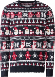 Lidl_Livergy_pull_Noel_homme_899__1