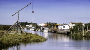 Port_de_Mornac_sur_seudre-Thierry_Avan