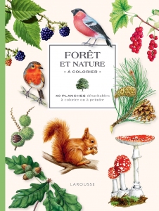 Foret_et_nature_a_colorier