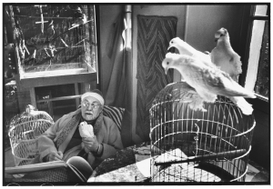 Henri_Matisse_Villa_Le_Rve_Vence_France_1944_Fondation_Henri_Cartier-Bresson__Magnum_Photos_-_Collection_Szafran_Fondation_Pierre_Gianadda