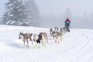 Presse_LGO_2021_-_10-01-2021_-_Romain_TISSOT-53