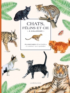 Herbier_Chats_et_autres_Felins_a_colorier