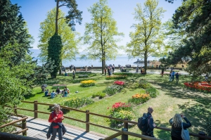 Fete_de_la_tulipe_massifs_2017__Ville_de_Morges_1