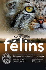 MNHN_Felins_Affiche