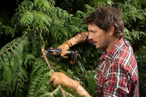 Worx_Pruner___Astschere_WG330E___1