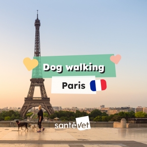 Dog_Walking_-_Paris_-_Vert_-_Photo_full_BG__1