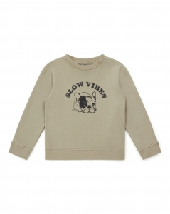 BONTON_aux_Galeries_Lafayette_Pull__manches_longues_en_coton_du_4_au_14_ans_75