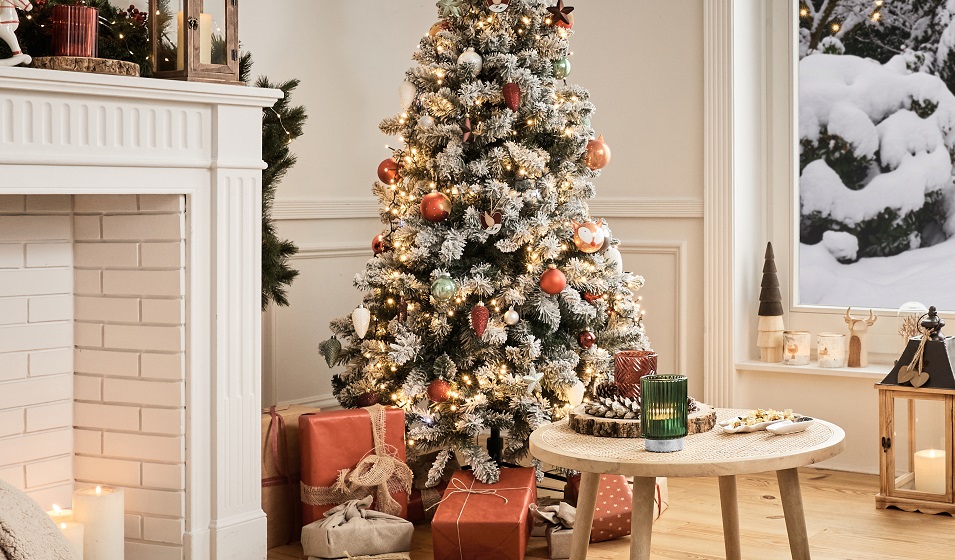 Le Noël des Sapins de Jardiland Topparents