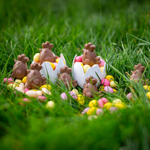Mini poules fourrées de Réauté chocolat dans un jardin
