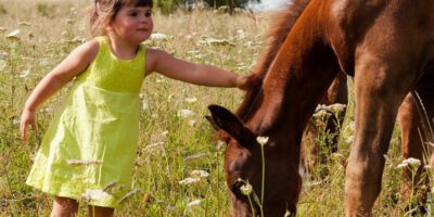 azureva, voyages animaux friendly