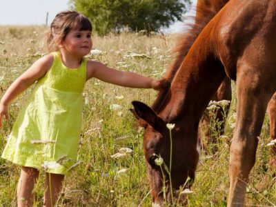 azureva, voyages animaux friendly