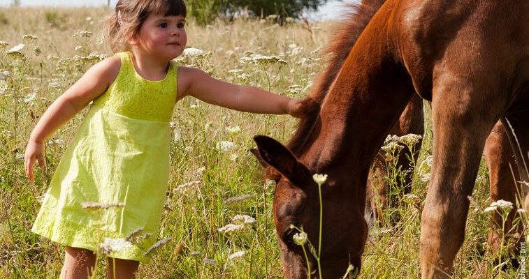 azureva, voyages animaux friendly